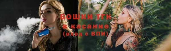 первитин Козельск