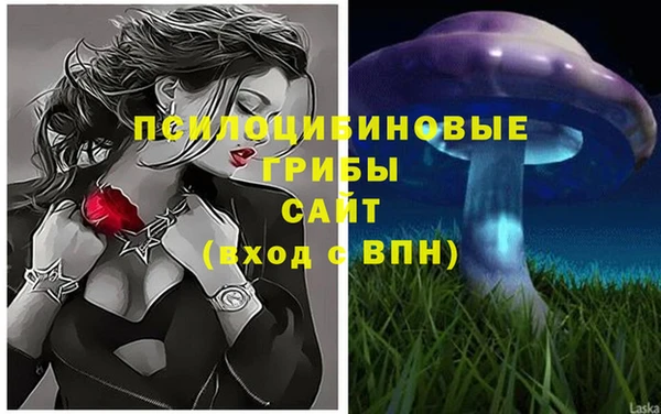 эйфоретик Киреевск