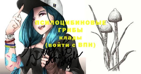 синтетический гашиш Козловка