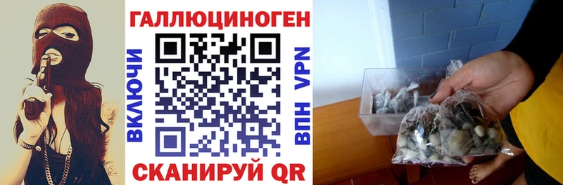 Галлюциногенные грибы ЛСД  Купить где  Менделеевск 